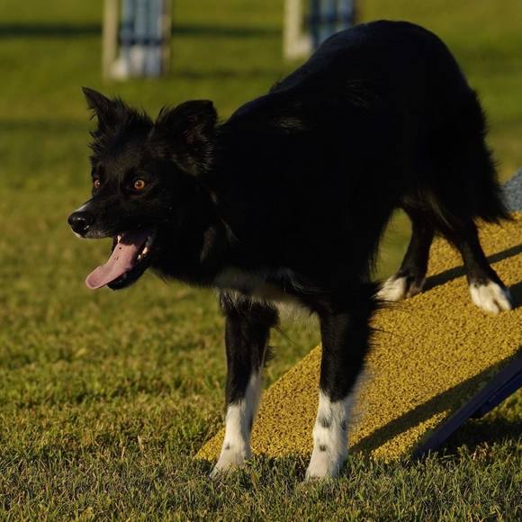 Meet your Posher, Melissa - Picture 1 of 1